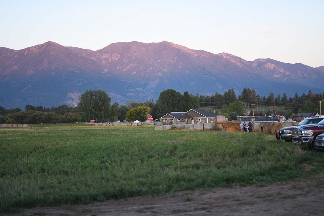 Producers Step Up to Develop New Processing Cooperative